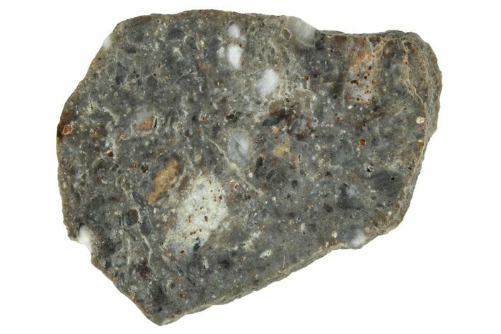 Lunar Meteorite ( g) Slice - Laayoune #291659